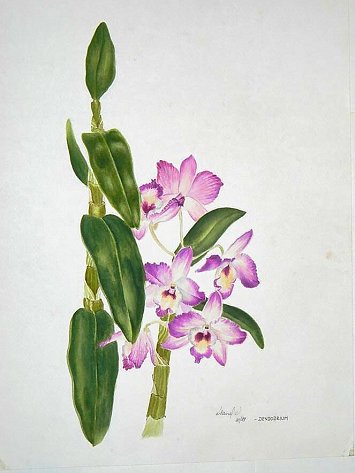Aquarellmalerei